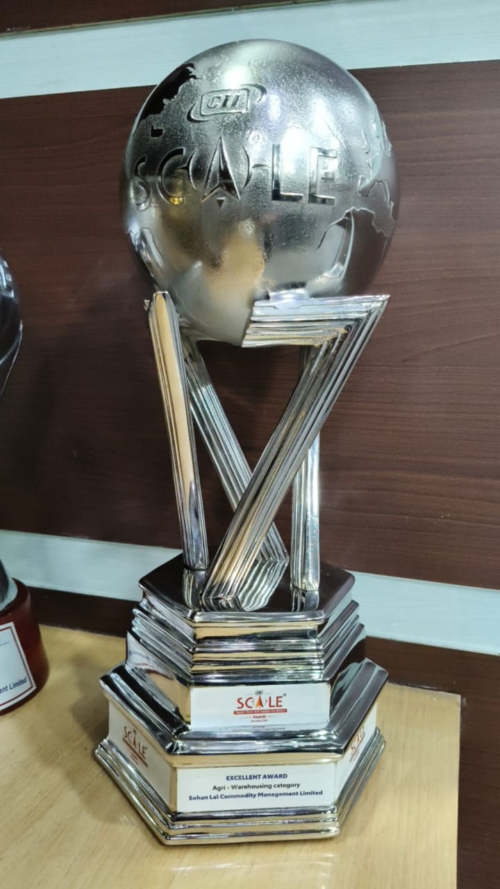 CII SCALE AWARD 2025